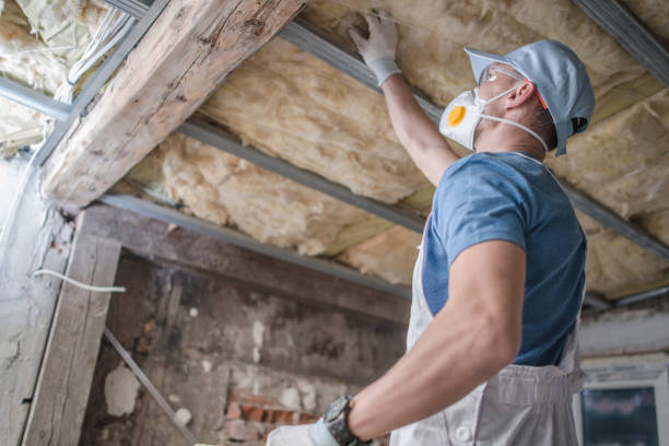 Best Insulation for Specific Applications in Cairo, IL
