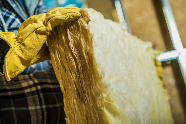 Best Commercial Insulation in Cairo, IL